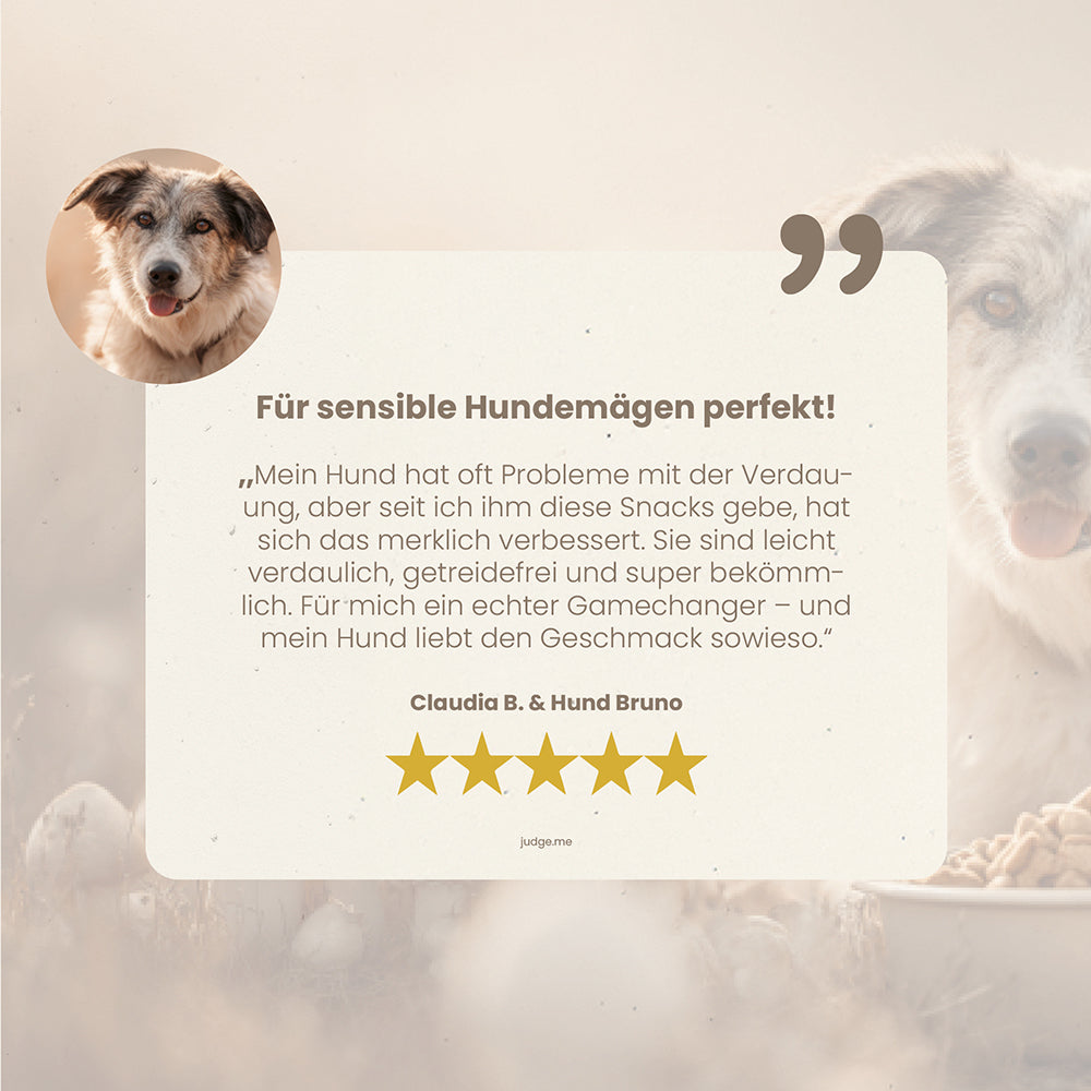 fungoVITAL BauchGefühl