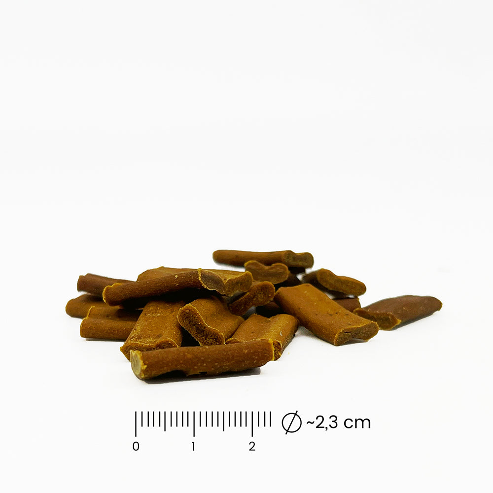 fungoVITAL BauchGefühl