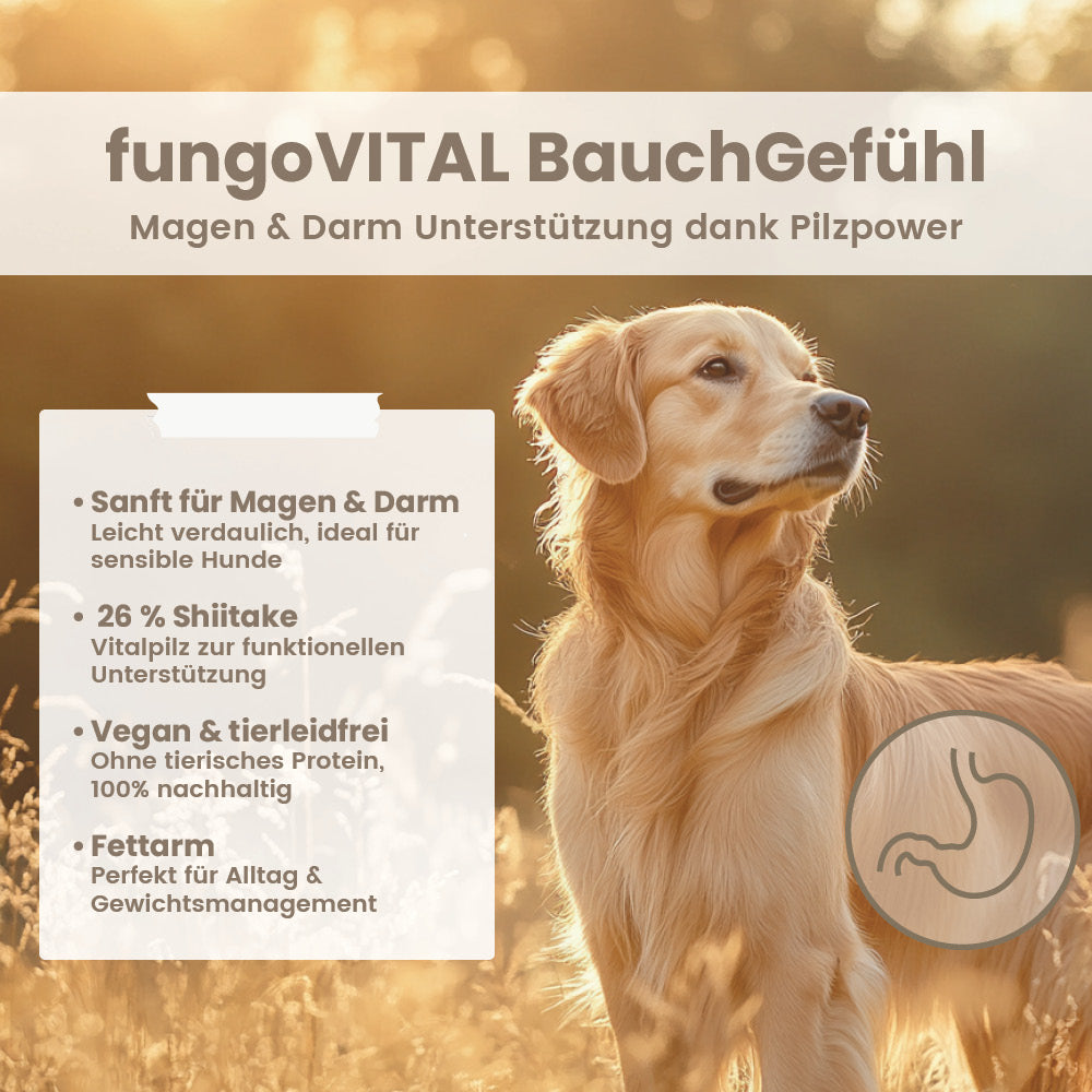 fungoVITAL Gut Feeling 