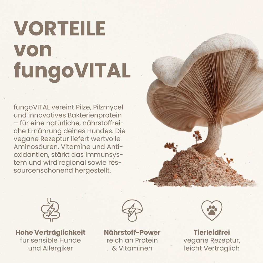fungoVITAL Forest Menu Wet Food