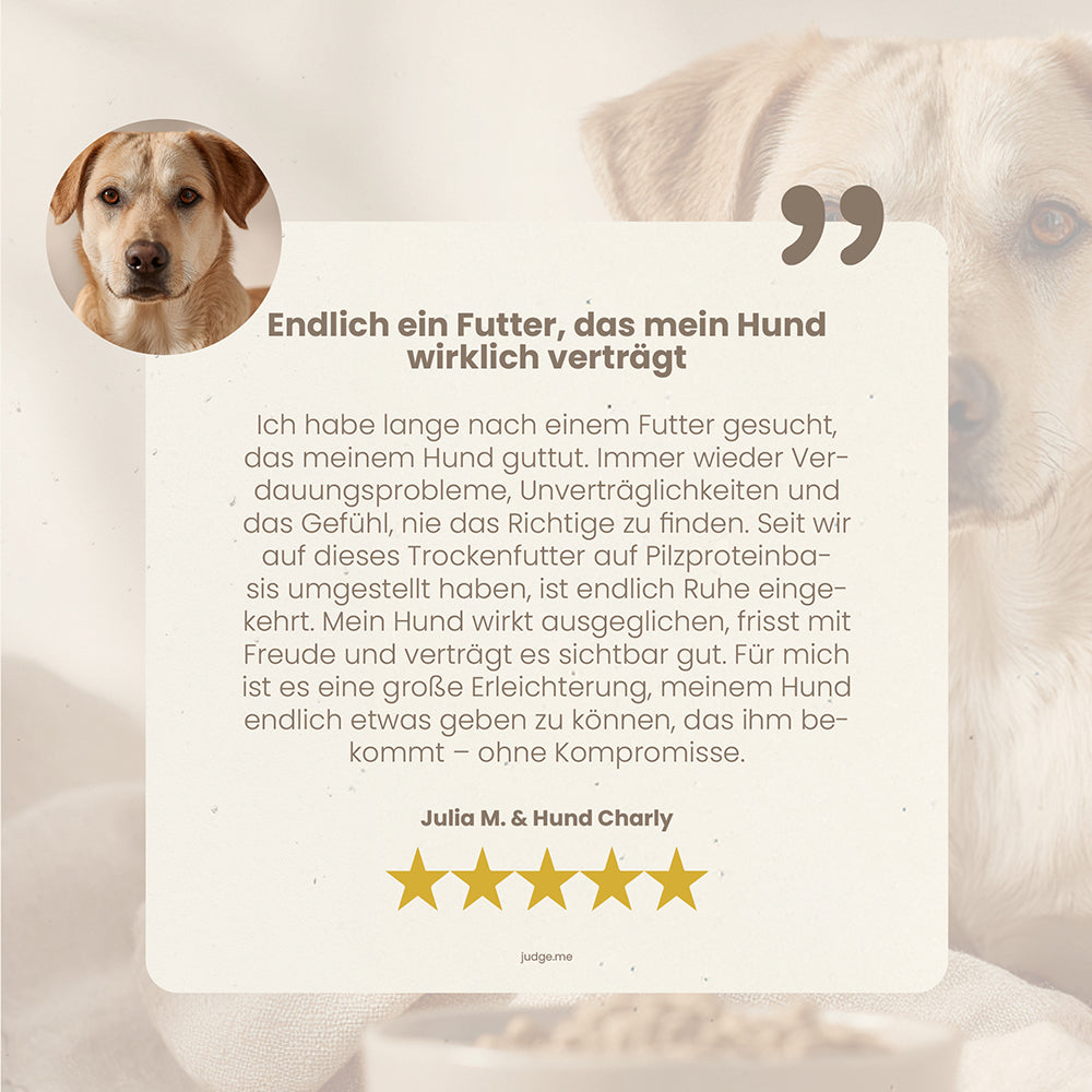 fungoVITAL WaldMenü Trockenfutter