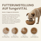 fungoVITAL Forest Menu Wet Food