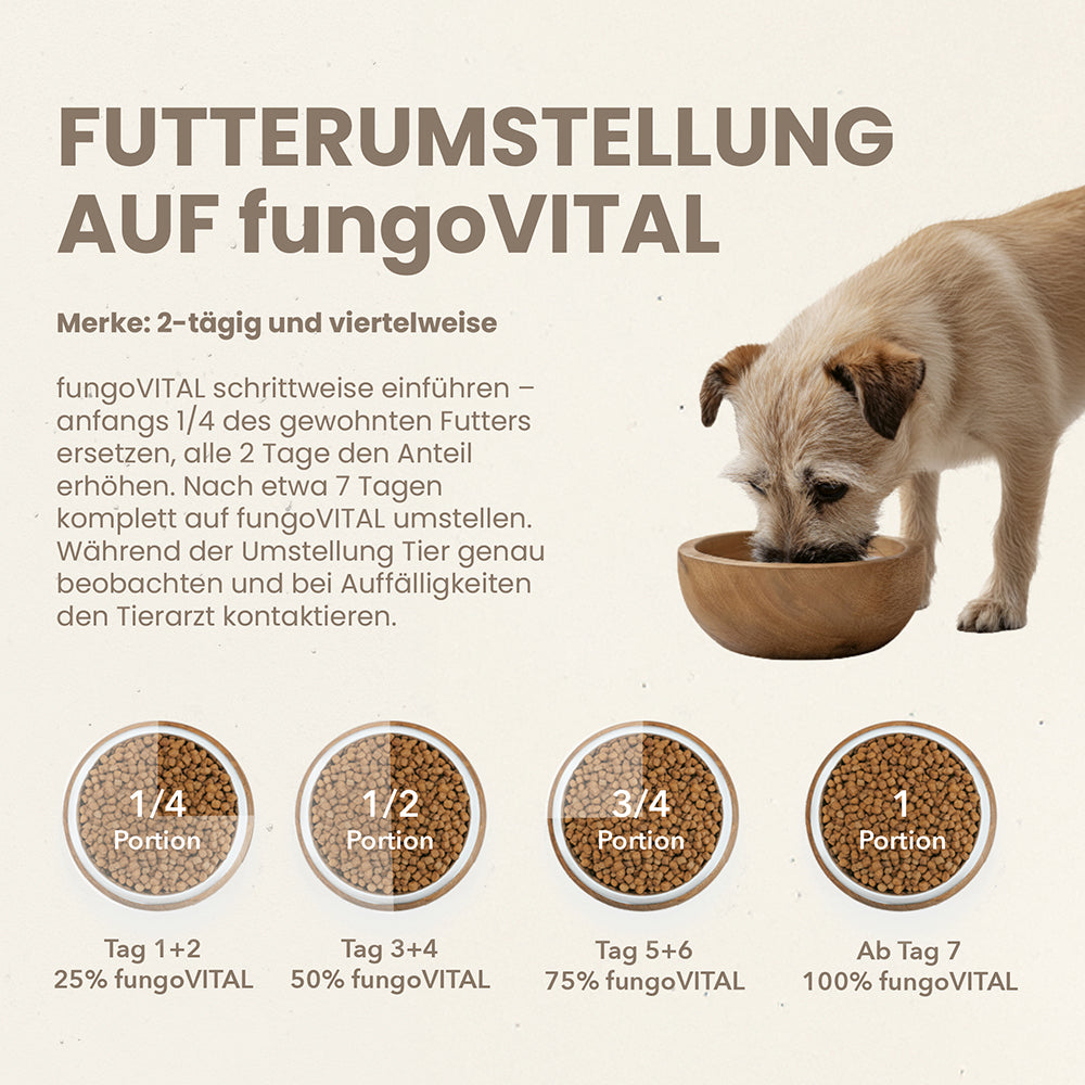 fungoVITAL WaldMenü Nassfutter