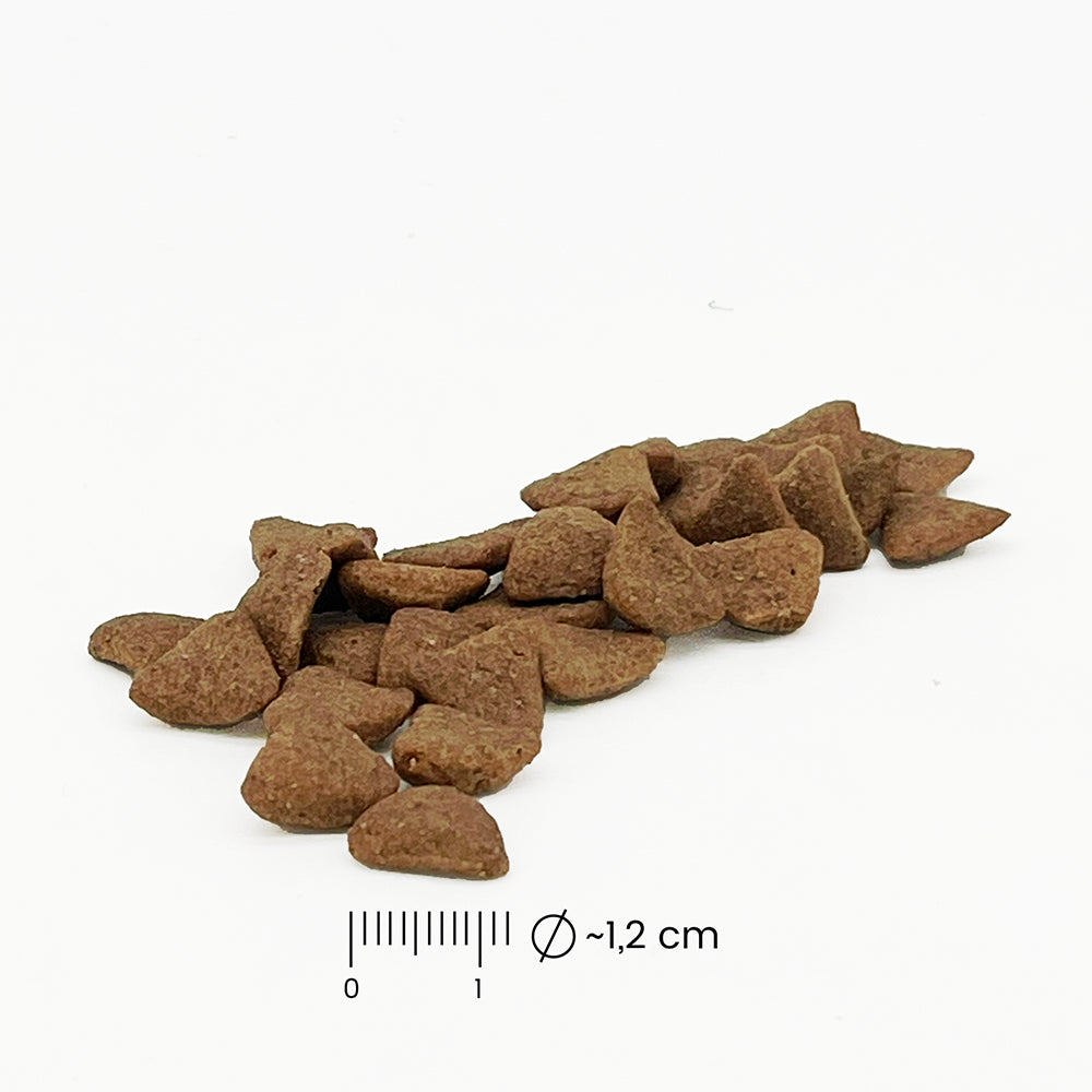 fungoVITAL WaldMenü Trockenfutter