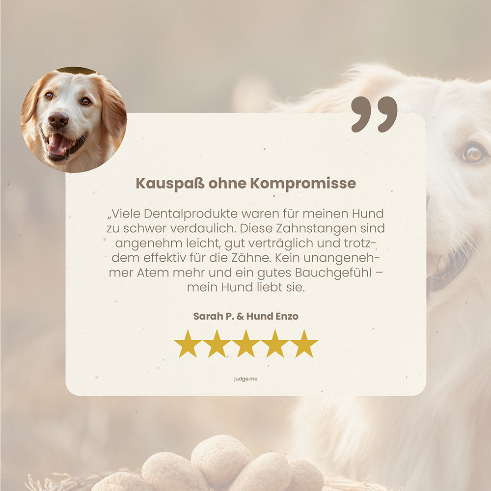 fungoVITAL ZahnFreunde