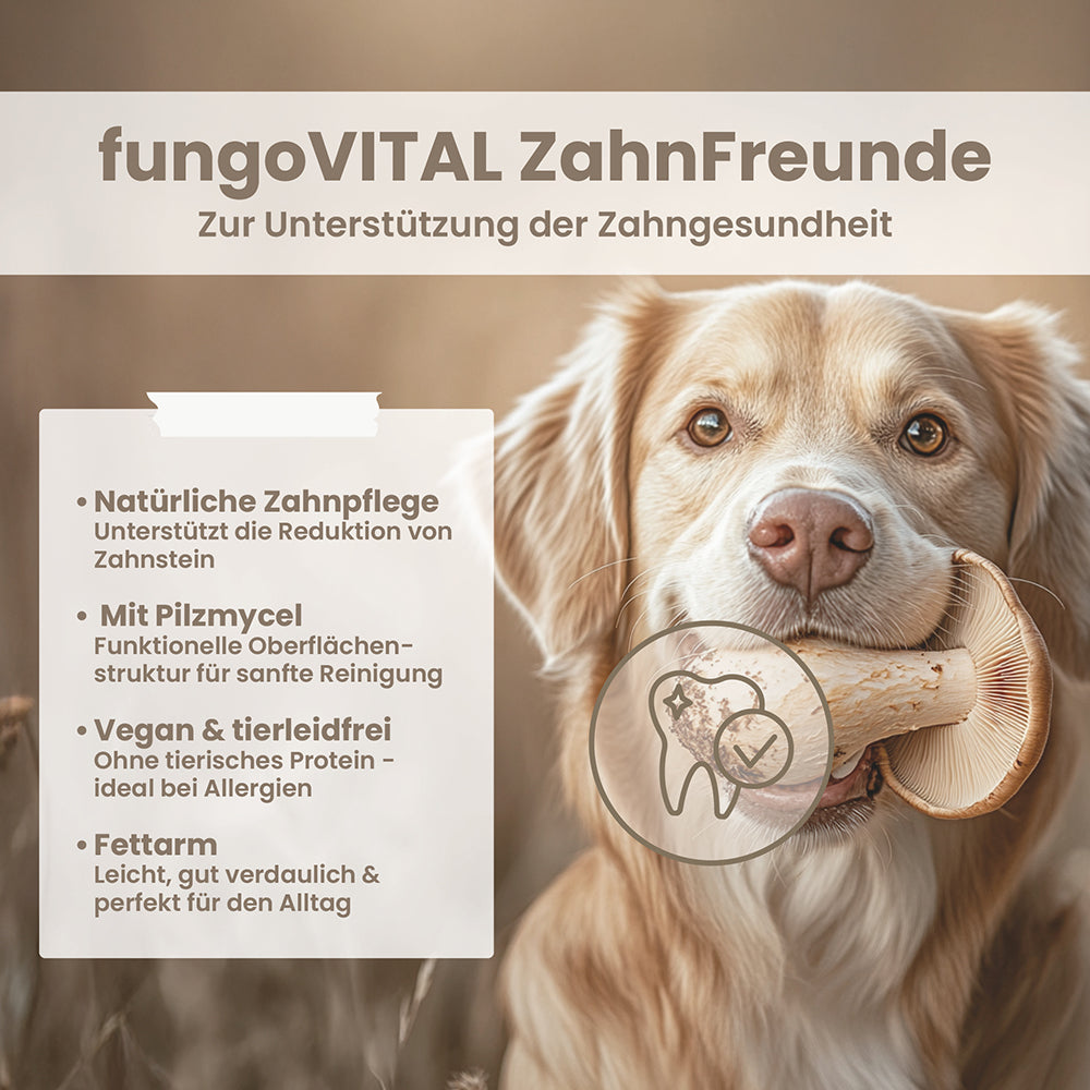 fungoVITAL ZahnFreunde