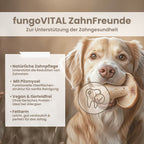 fungoVITAL ZahnFreunde