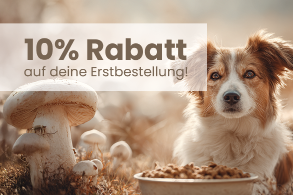 Sei dabei, wenn gesunde Hundeernährung neu gedacht wird