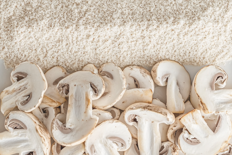 Bakterienprotein: innovativ, nachhaltig und hochwertig