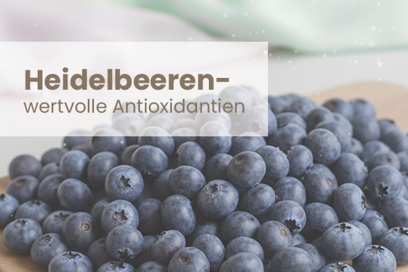 Heidelbeeren – Kleine Beeren mit großer Wirkung
