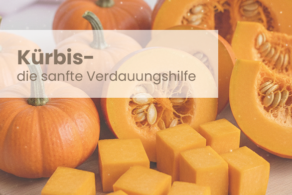 Kürbis – Die sanfte Verdauungshilfe