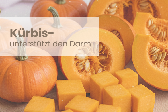 Kürbis – Wohltat für den Darm