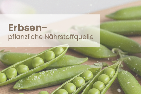 Erbsen – Pflanzliche Nährstoffquelle