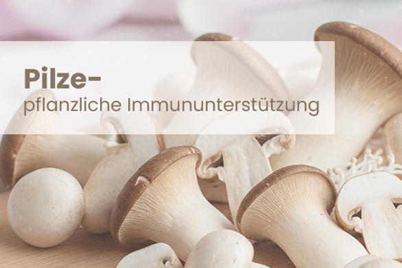 Pilze – Pflanzliche Immununterstützung
