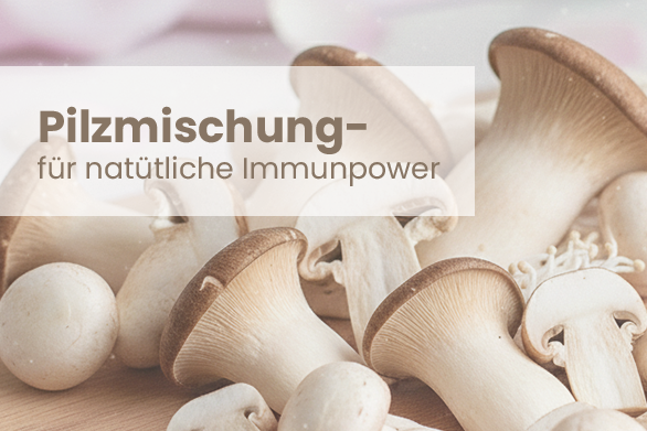 Pilzmischung – Natürliche Immunpower