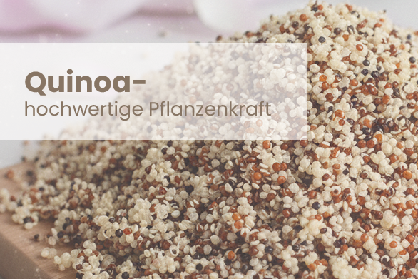 Quinoa – Hochwertiges pflanzliches Eiweiß
