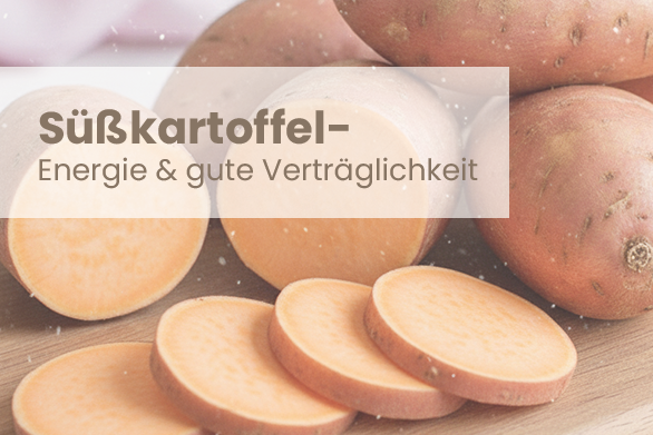 Süßkartoffel – Sanfte Energie & gute Verträglichkeit