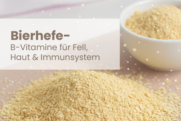 Bierhefe – B-Vitamine für Fell, Haut & Immunsystem