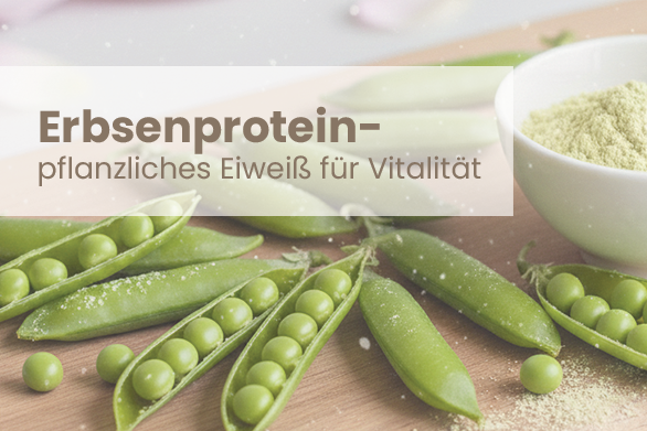 Erbsenprotein – Pflanzliches Eiweiß für Vitalität