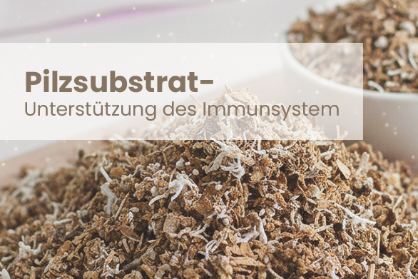 Pilzsubstrat – Natürliche Unterstützung fürs Immunsystem