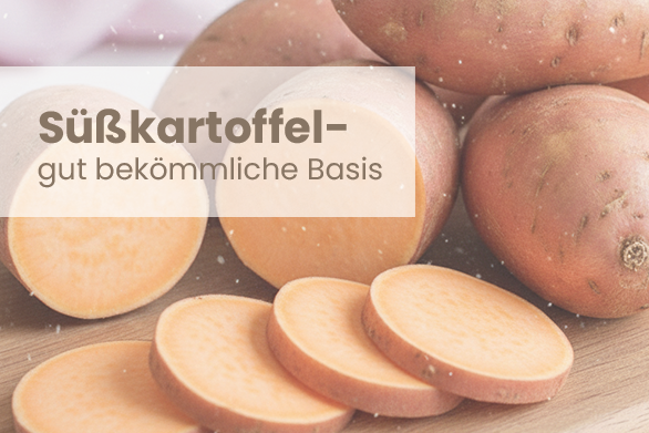 Süßkartoffel – Leicht verdauliche Energie