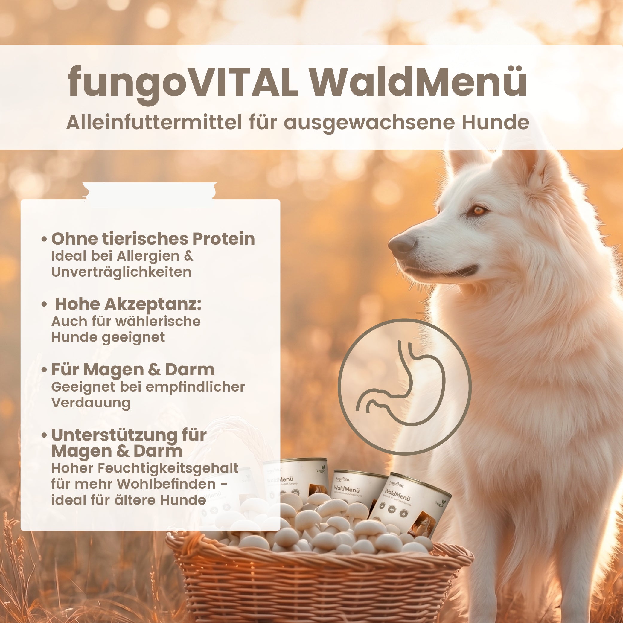 fungoVITAL WaldMenü Nassfutter