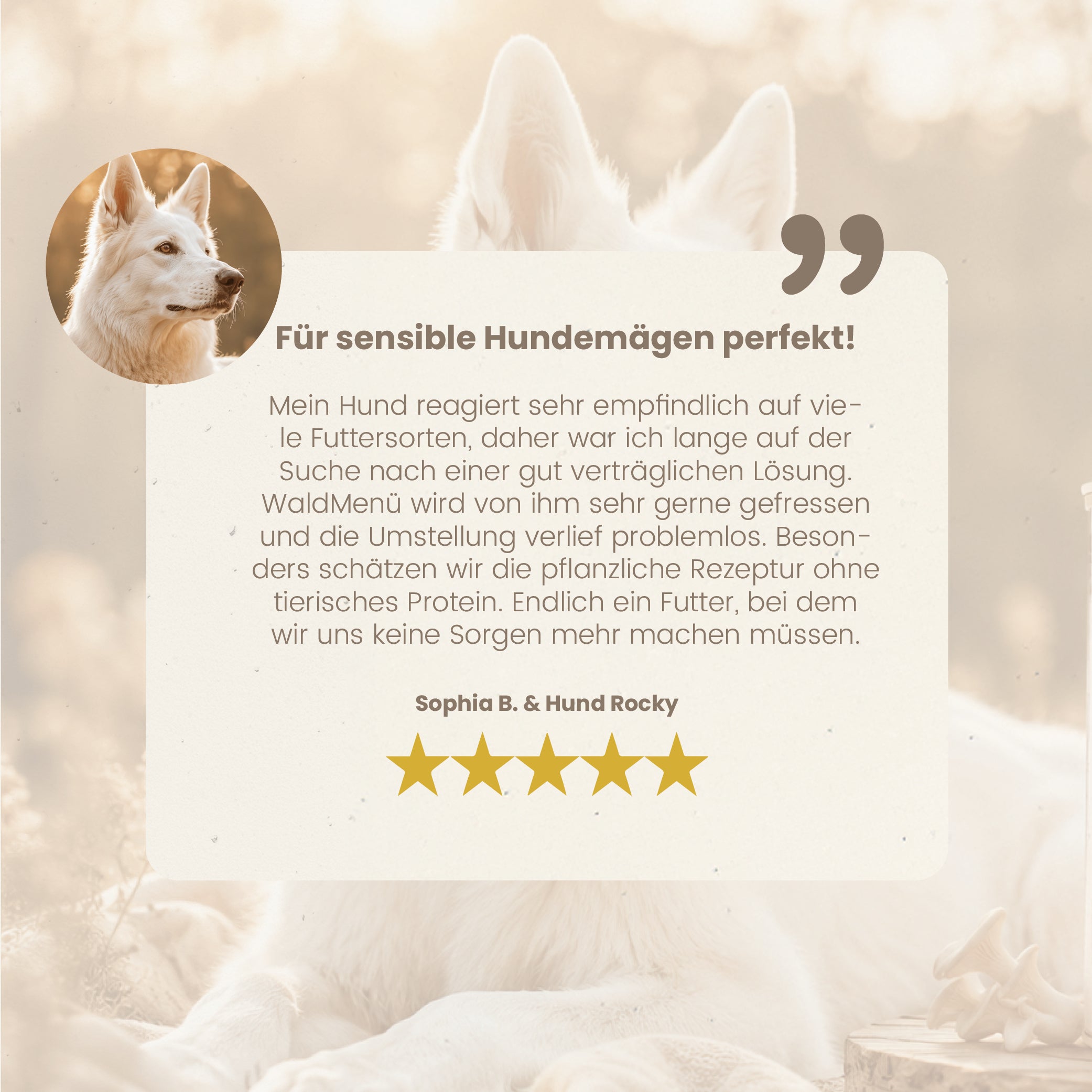 fungoVITAL Forest Menu Wet Food