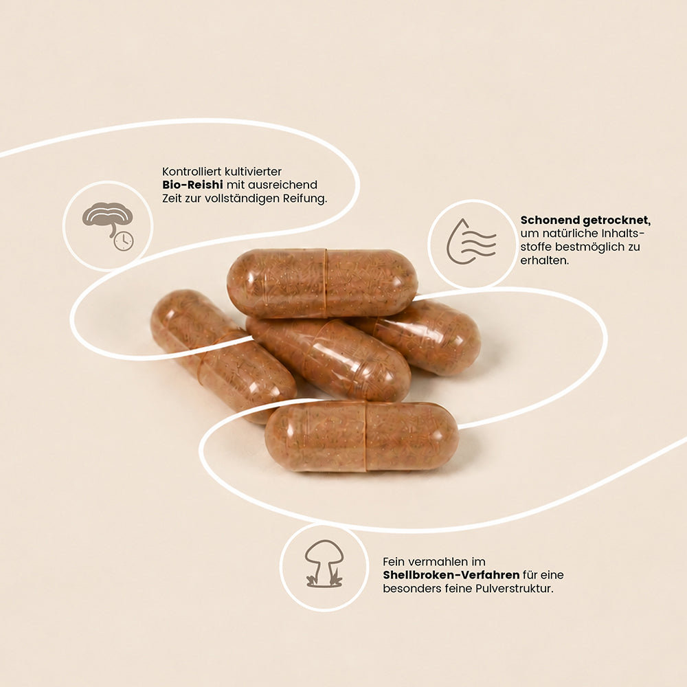fungoVITAL BIO Reishi Pulver Kapseln - Herstellung