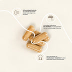 fungoVITAL BIO Shiitake Pulver Kapseln - Herstellung