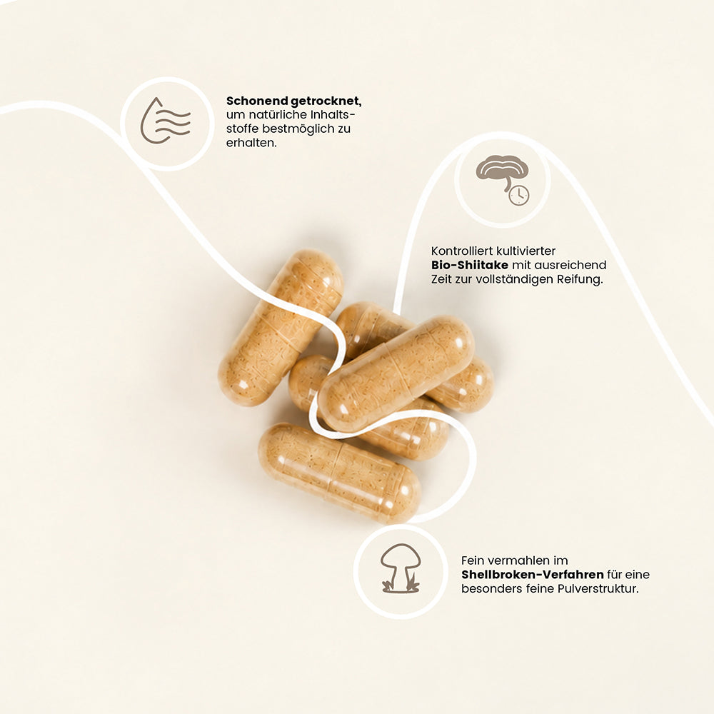 fungoVITAL BIO Shiitake Pulver Kapseln - Herstellung