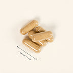 fungoVITAL BIO Shiitake Pulver Kapseln - Kapseln