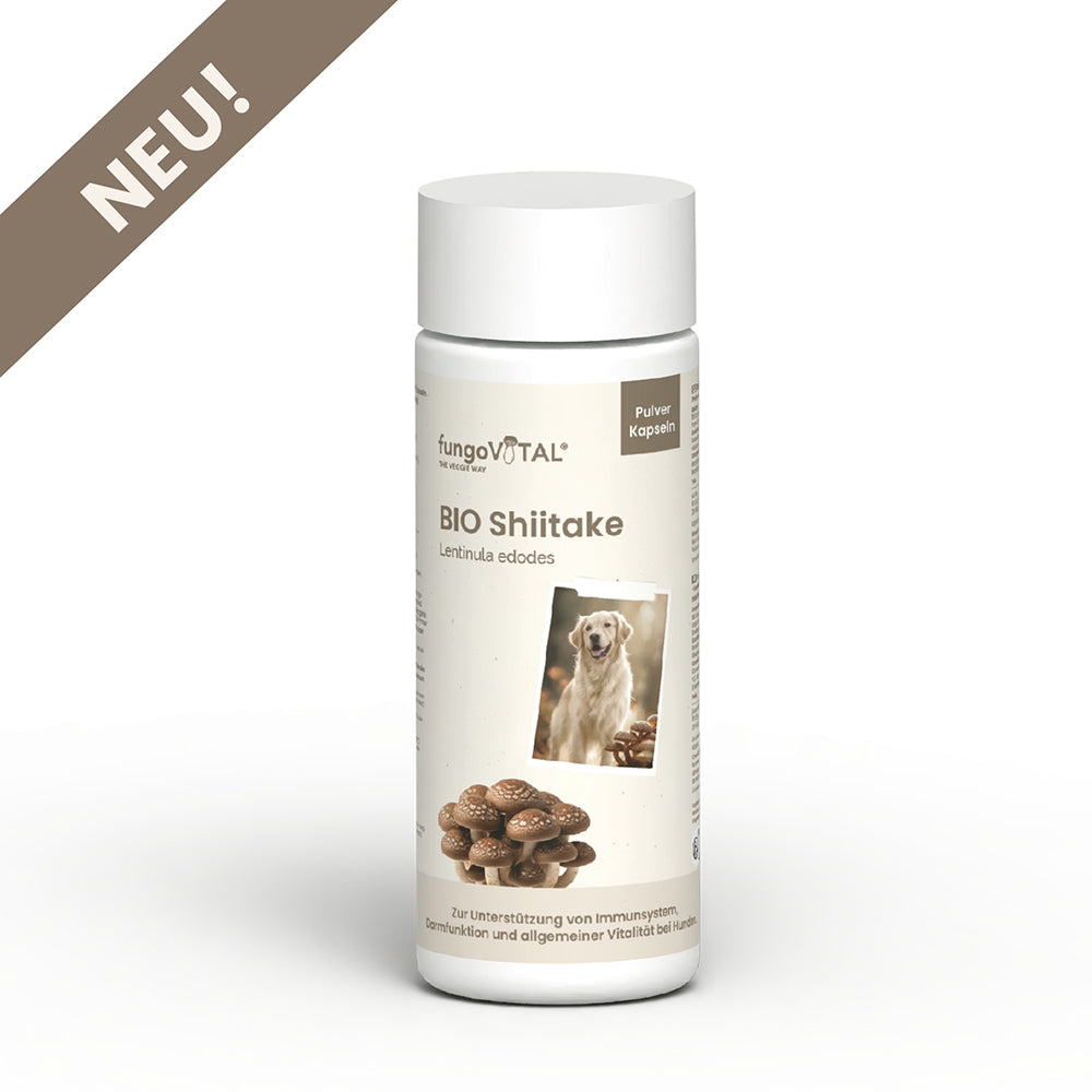 fungoVITAL BIO Shiitake Pulver Kapseln