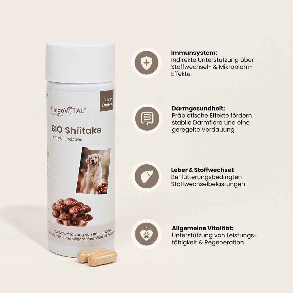 fungoVITAL BIO Shiitake Pulver Kapseln - Vorteile
