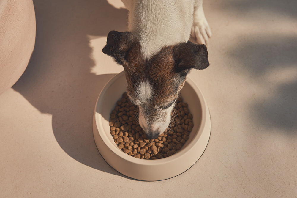 Bewusst versorgen — besser leben