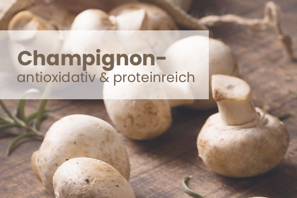 Champignon – Antioxidativ & proteinreich